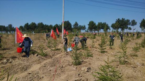 西城公园植树活动